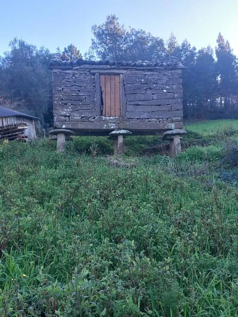 Vista exterior de Finca rústica en venta en Zas