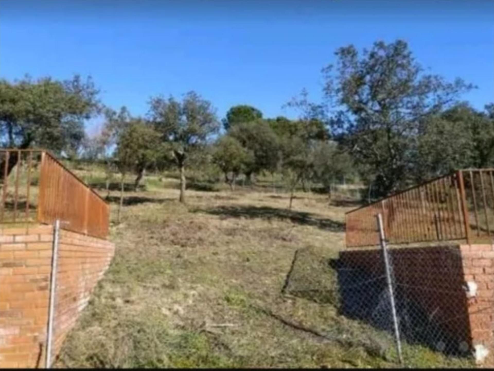 Constructible Land for sale in Cardiel de los Montes