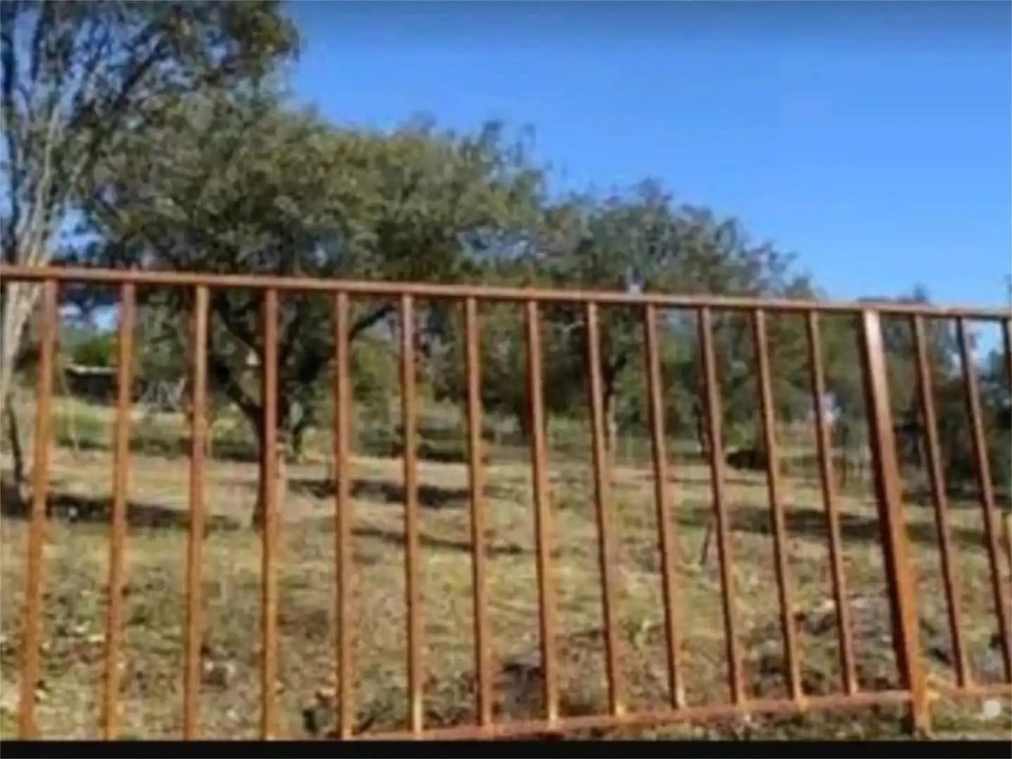 Constructible Land for sale in Calle Torrijos, Cardiel de los Montes Constructible Land for sale in Cardiel de los Montes