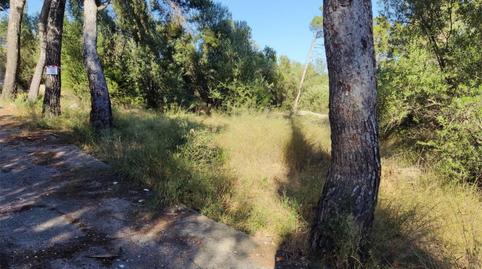 Casa o xalet en venda a Carrer D'enmig, 15-13, Casas Verdes - Ermita, Valencia - imatge 2 Foto 2 de Casa o xalet en venda a Carrer D'enmig, 15-13, Casas Verdes - Ermita, Valencia