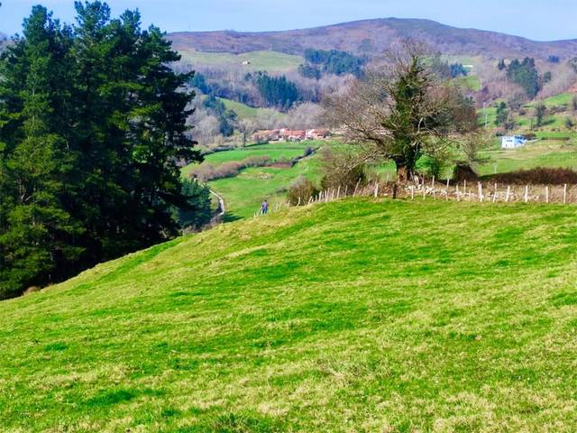 Terreno en Venta en Barrio Barriopalacio, 26 en Anievas