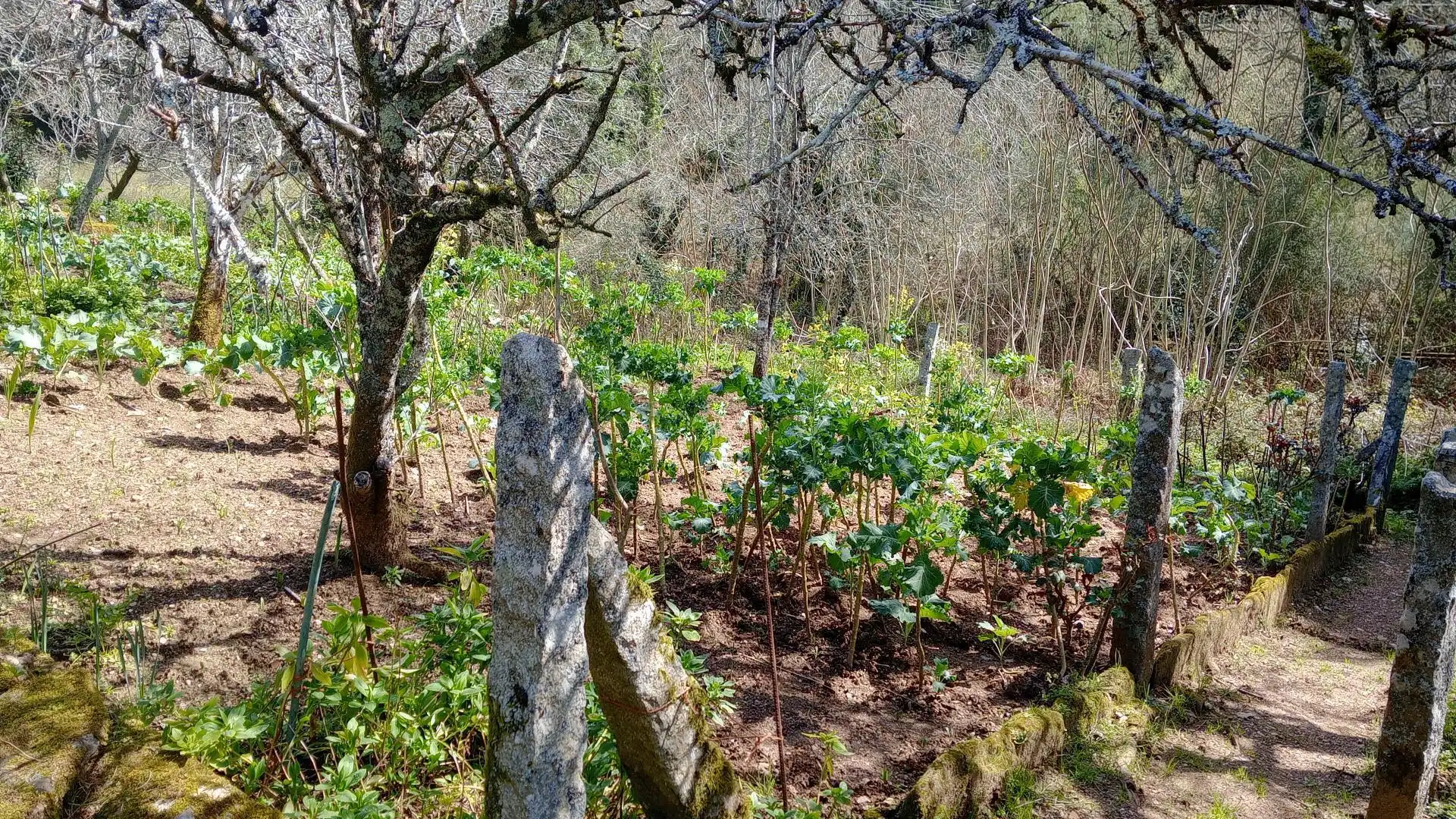 Casa o xalet en venda a Estrada Alvariza, 19, Noia