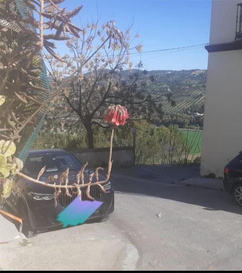 Photo 2 of Planta baja for sale in Calle Bellavista, 9, Prado del Rey, Cádiz