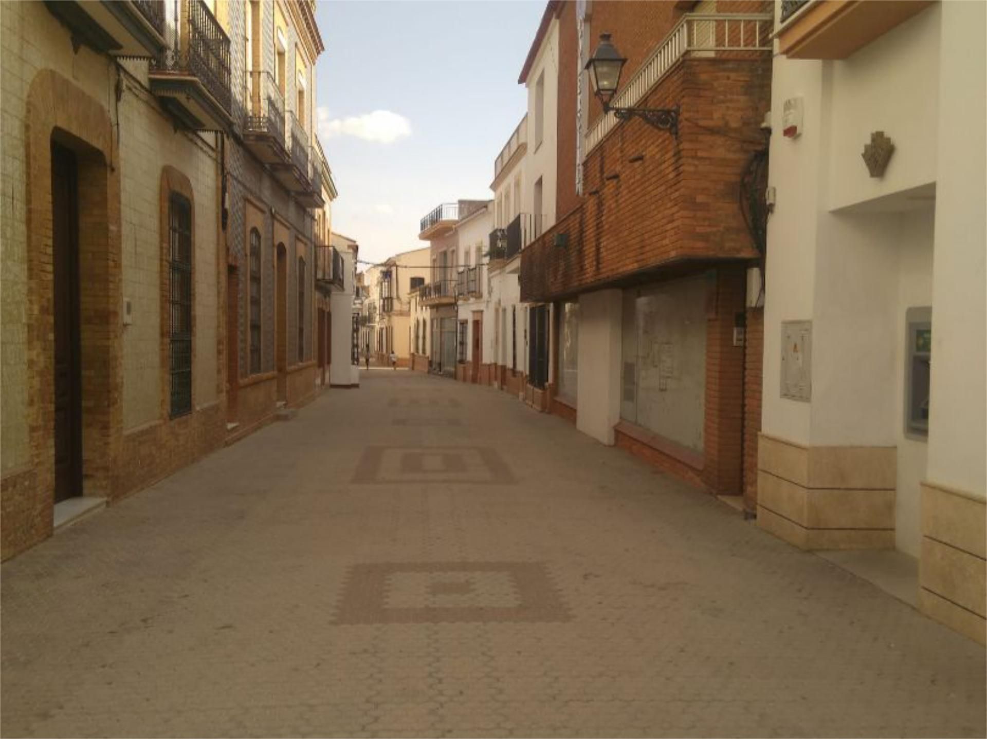 Exterior view of Premises for sale in Niebla