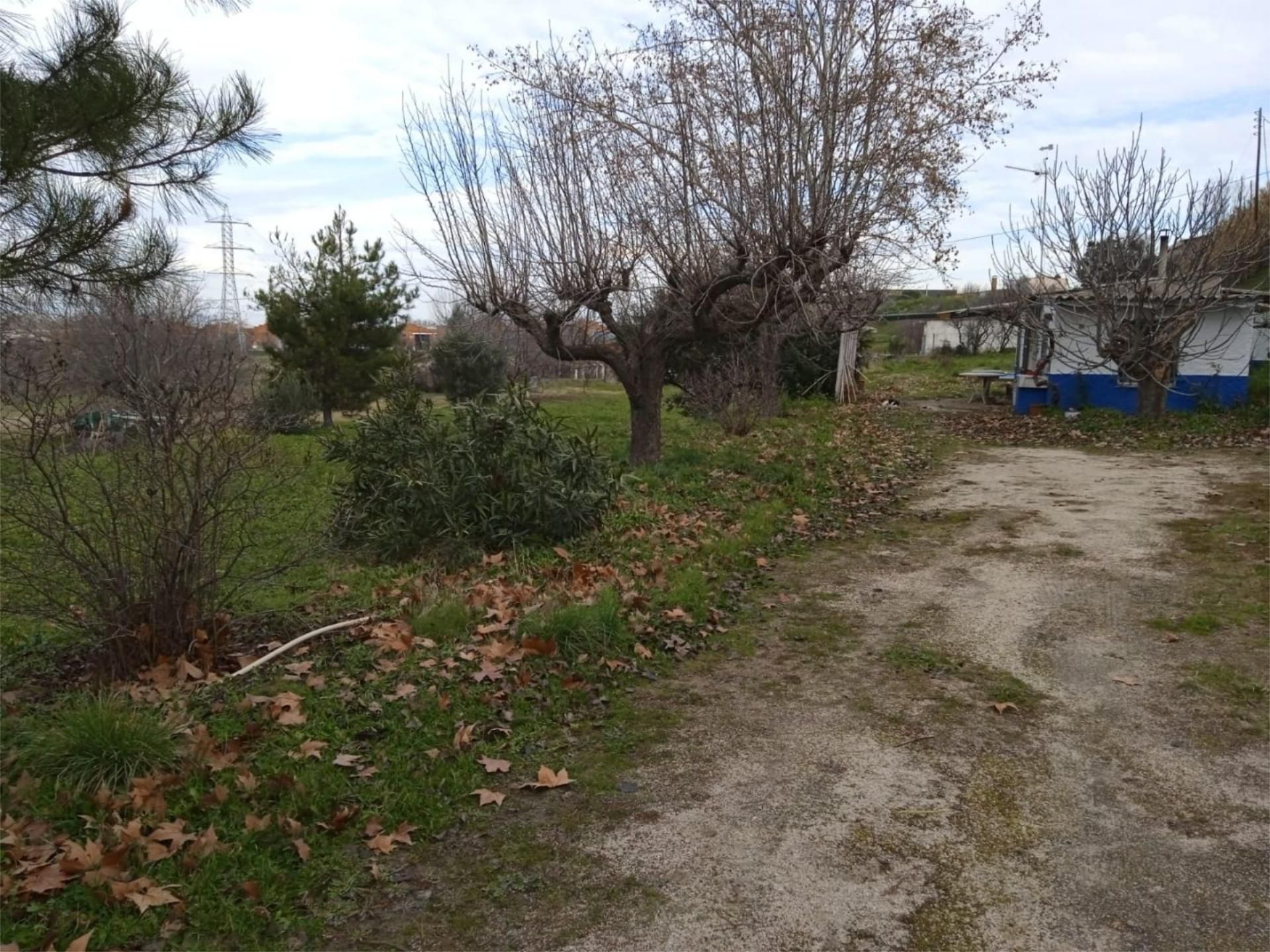 Land for sale in Paracuellos de Jarama