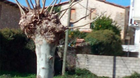 Photo 4 of Constructible Land for sale in Avenida Extremadura, 6, Acebo, Cáceres