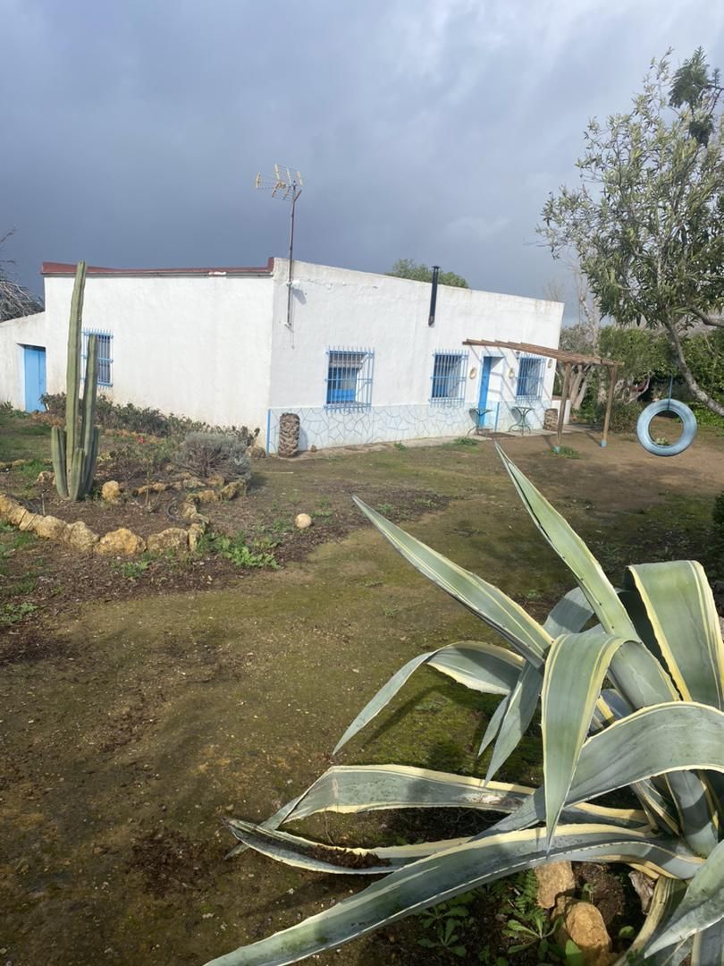 Constructible Land for sale in Carmona