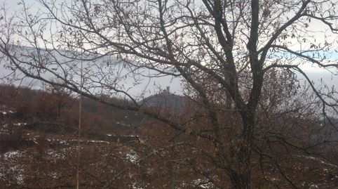 Photo 4 of Country homes for sale in Sant Esteve de la Sarga, Lleida