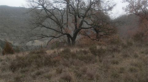 Photo 5 of Country homes for sale in Sant Esteve de la Sarga, Lleida