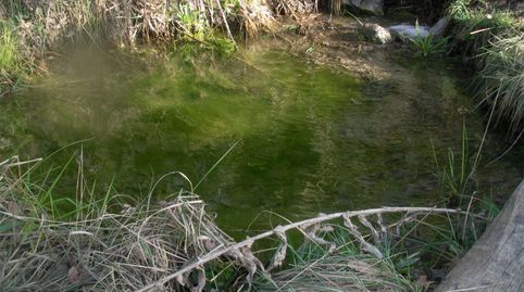 Photo 3 of Country homes for sale in Sant Esteve de la Sarga, Lleida