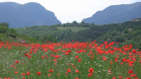 Photo 2 of Country homes for sale in Sant Esteve de la Sarga, Lleida