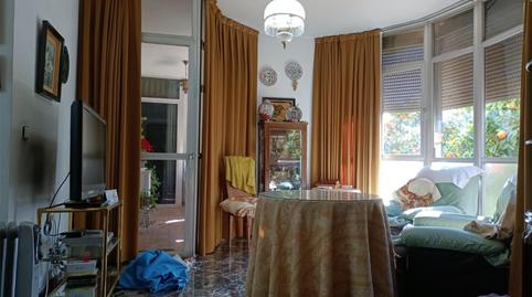 Flat for sale in Calle Alfonso de Cossío, 3, Parque María Luisa -Giralda Sur, Sevilla - image 2 Photo 2 of Flat for sale in Calle Alfonso de Cossío, 3, Parque María Luisa -Giralda Sur, Sevilla