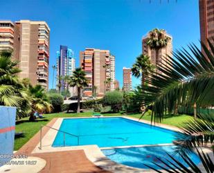 Swimming pool of Apartment for sale in Benidorm  with Air Conditioner, Terrace and Balcony