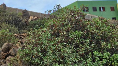 Finca rústica en venda a Calle Romano, 21, Barranco Hondo, Santa Cruz de Tenerife - imatge 5 Foto 5 de Finca rústica en venda a Calle Romano, 21, Barranco Hondo, Santa Cruz de Tenerife