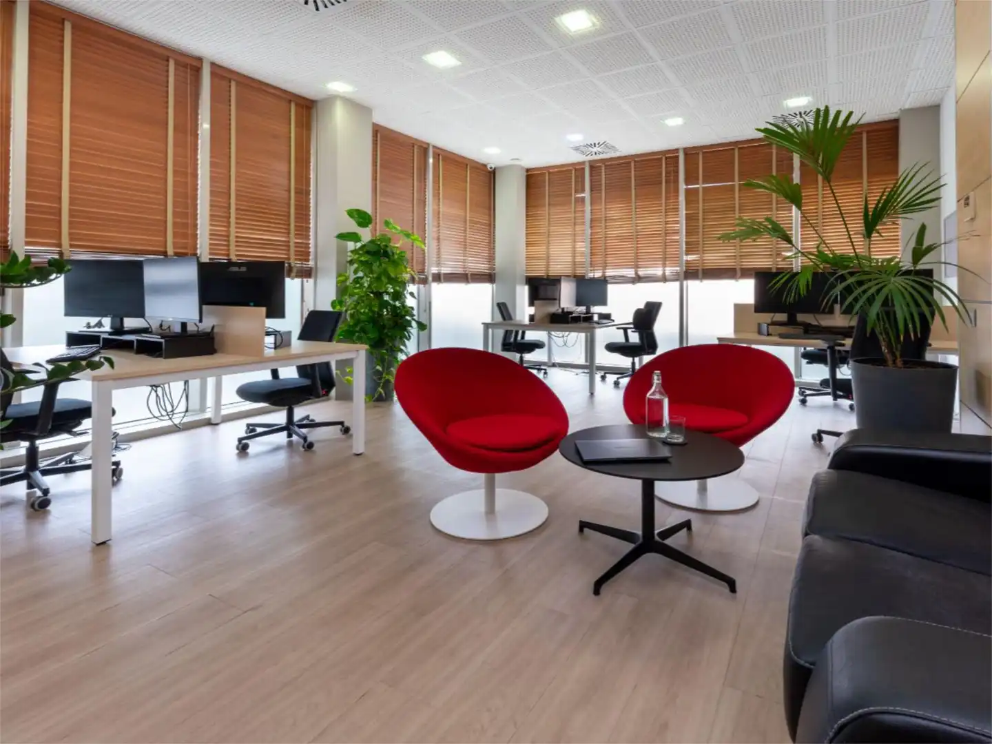 Büro zur Miete in  Palma de Mallorca