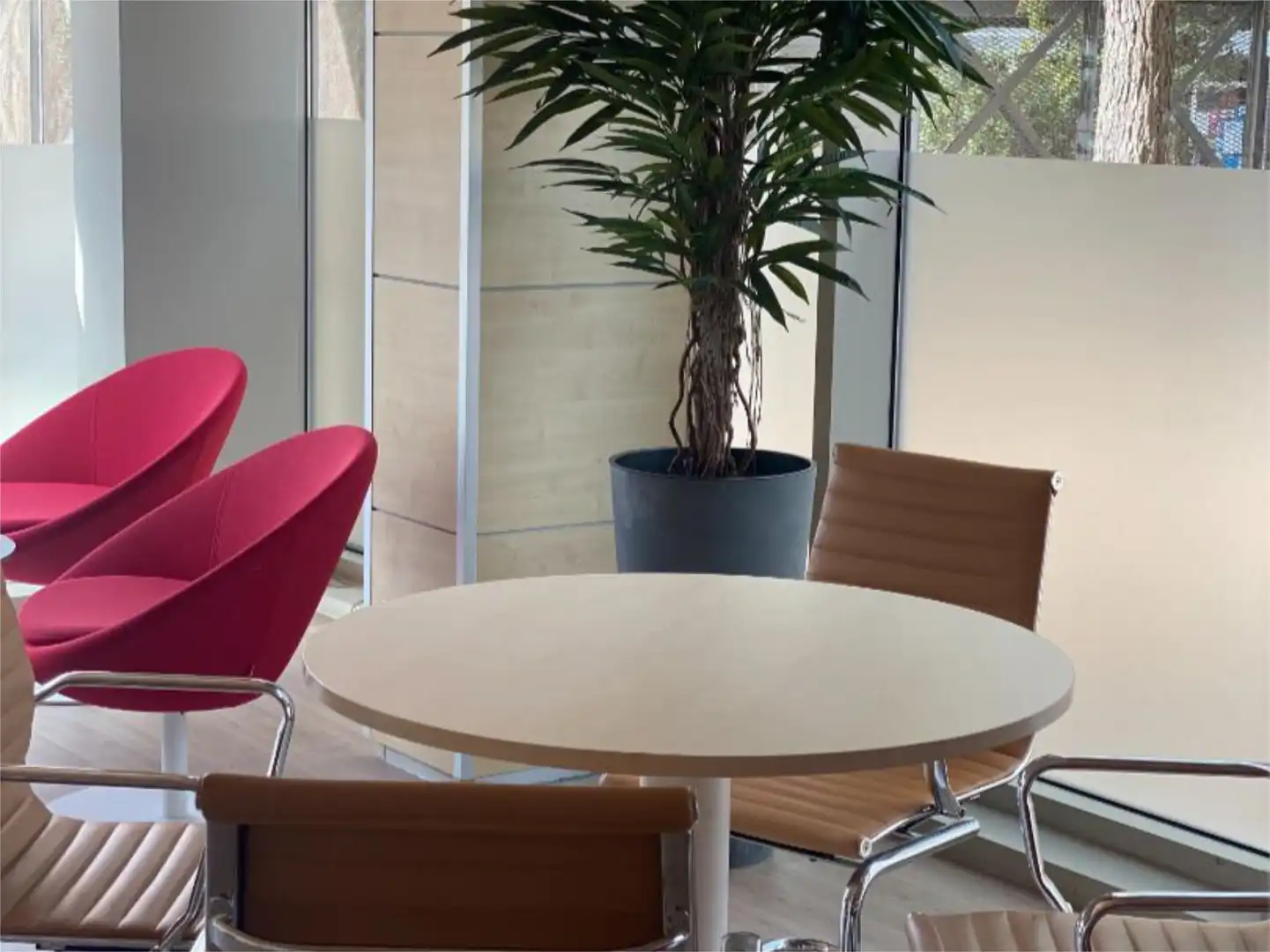 Büro zur Miete in  Palma de Mallorca