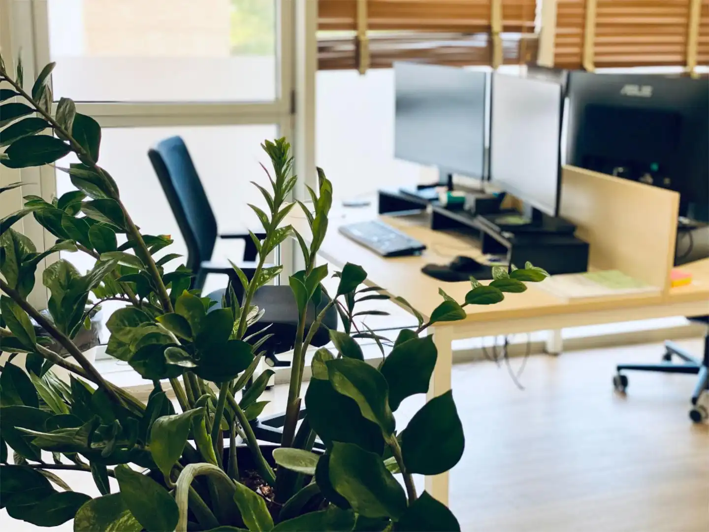 Büro zur Miete in  Palma de Mallorca