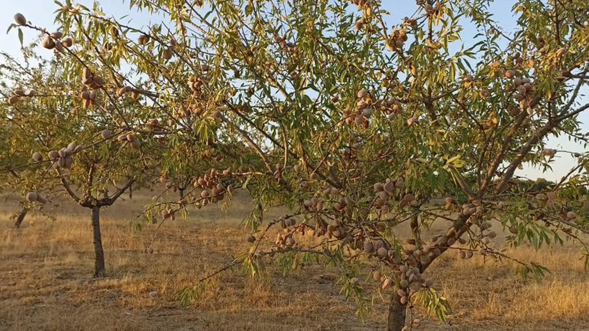 Jardín de Terreno en venta en Lucillos