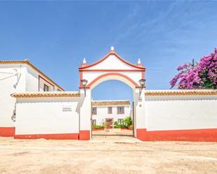 Exterior view of Country house for sale in Lucena  with Terrace, Swimming Pool and Balcony