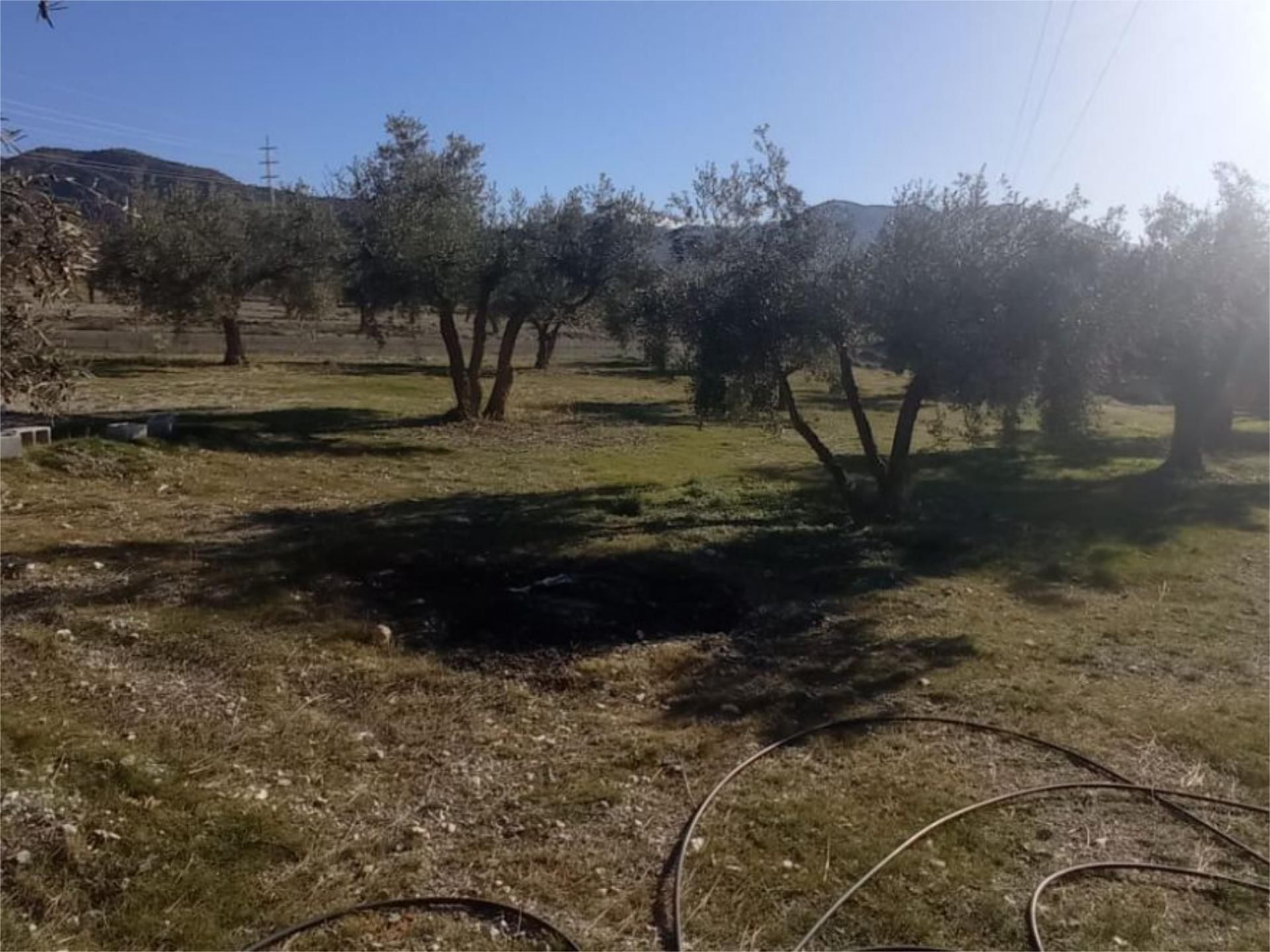 Non-constructible Land for sale in Padul