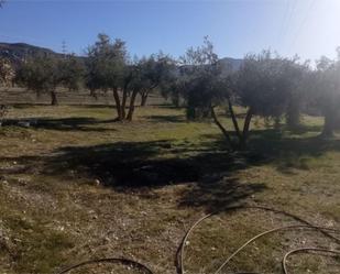 Non-constructible Land for sale in Padul