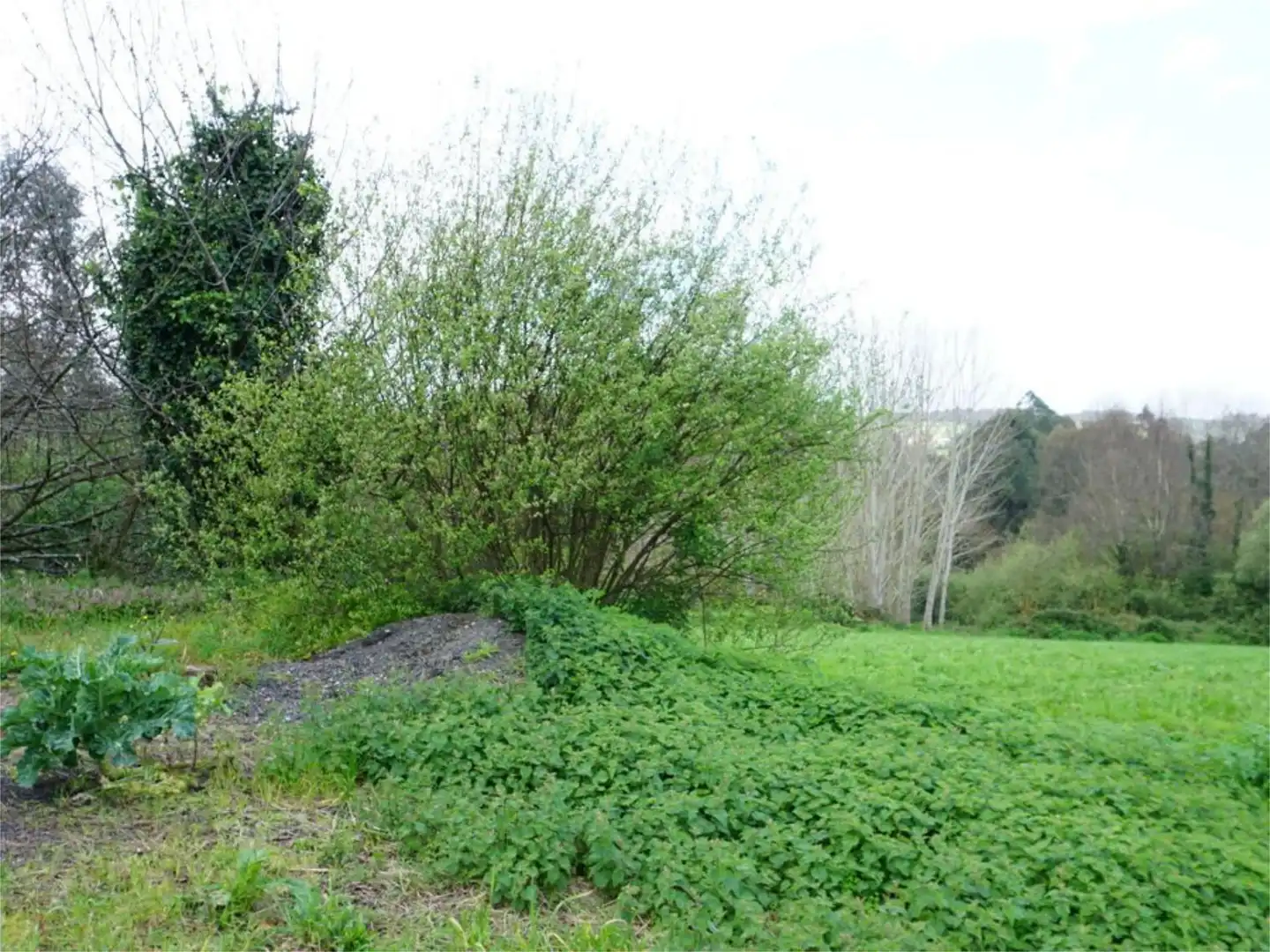 Houses for sale in Longueiral, 1, Cambre Houses for sale in Cambre