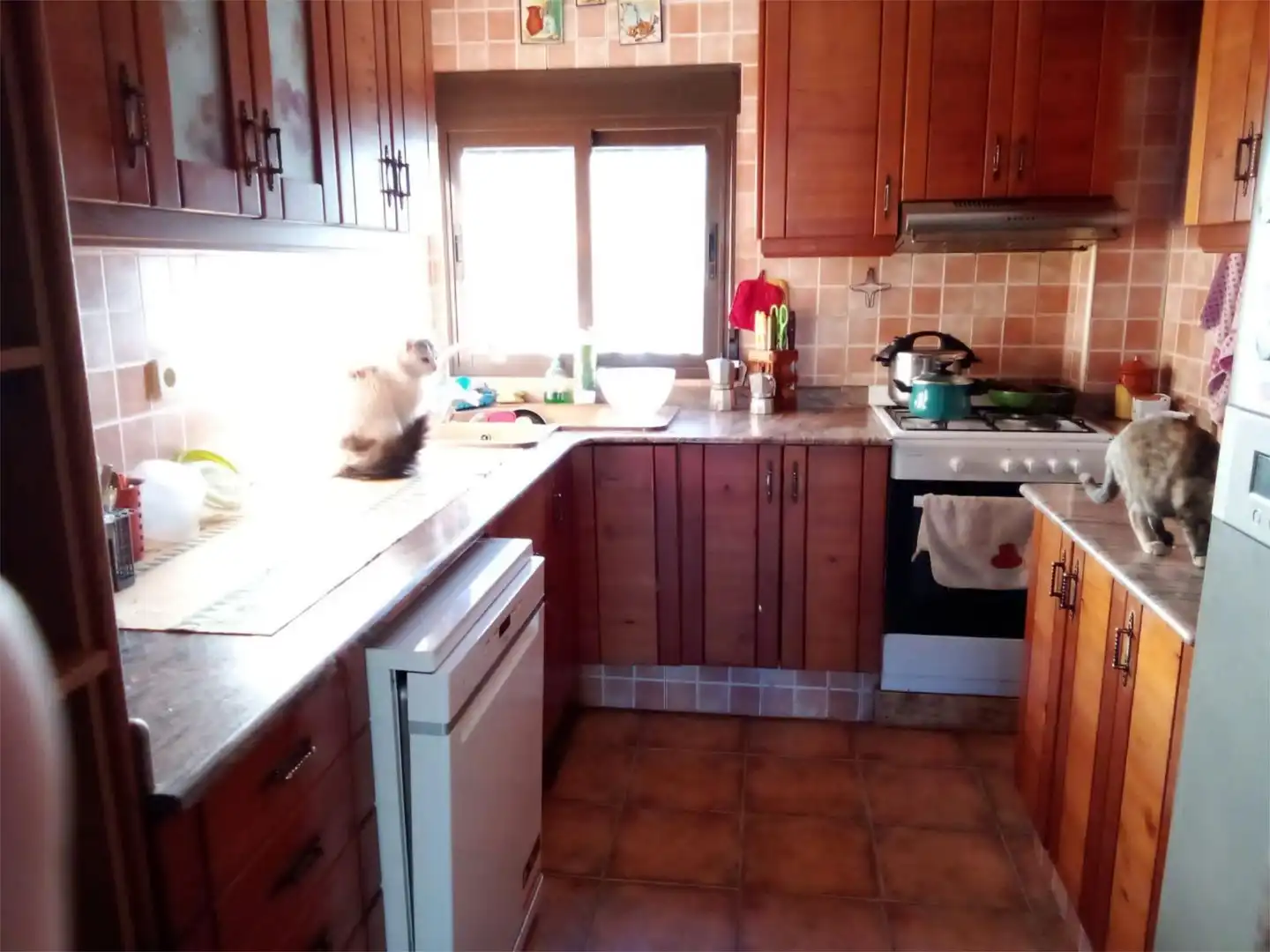 Casa o xalet en venda a Yátova Cuina de Casa o xalet en venda en Yátova amb Terrassa i Balcó