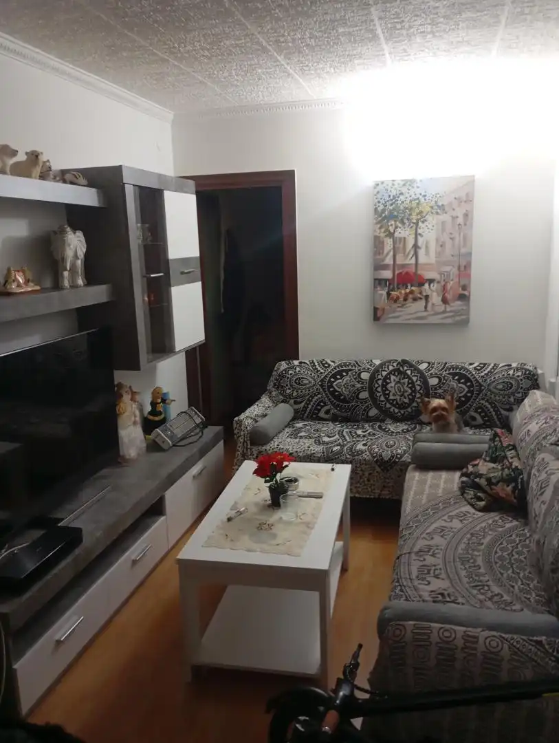 Living room of Flat for share in Santa Coloma de Gramenet  with Parquet flooring, Oven and Washing machine