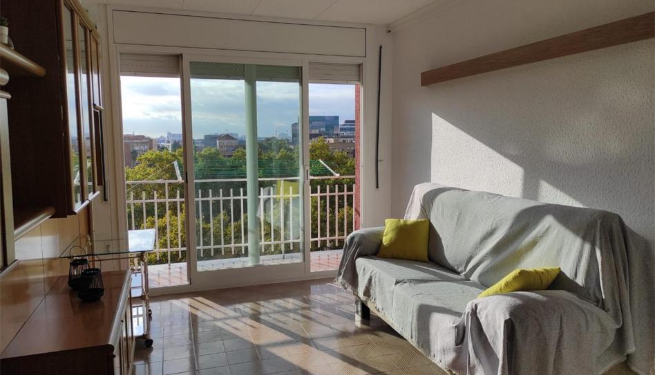 Photo 1 of Flat to share in Carrer Dels Alts Forns, 72, La Marina del Port, Barcelona