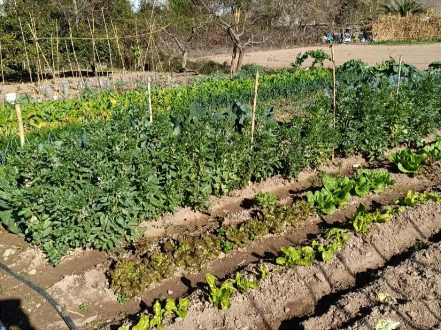 Finca rústica en venta en Carrer de la Recerca, 7, Gavà Mar Jardín de Finca rústica en venta en Gavà