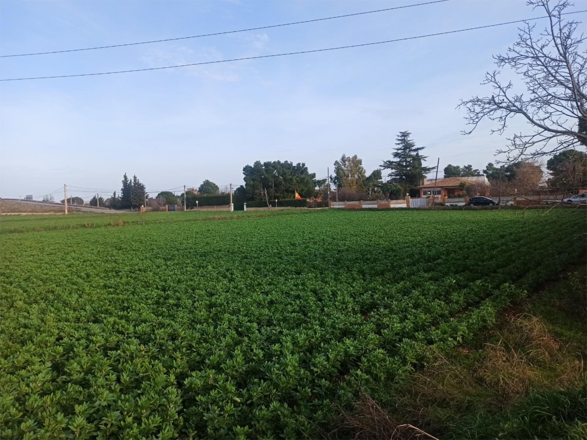 Terreno en venta en Utebo