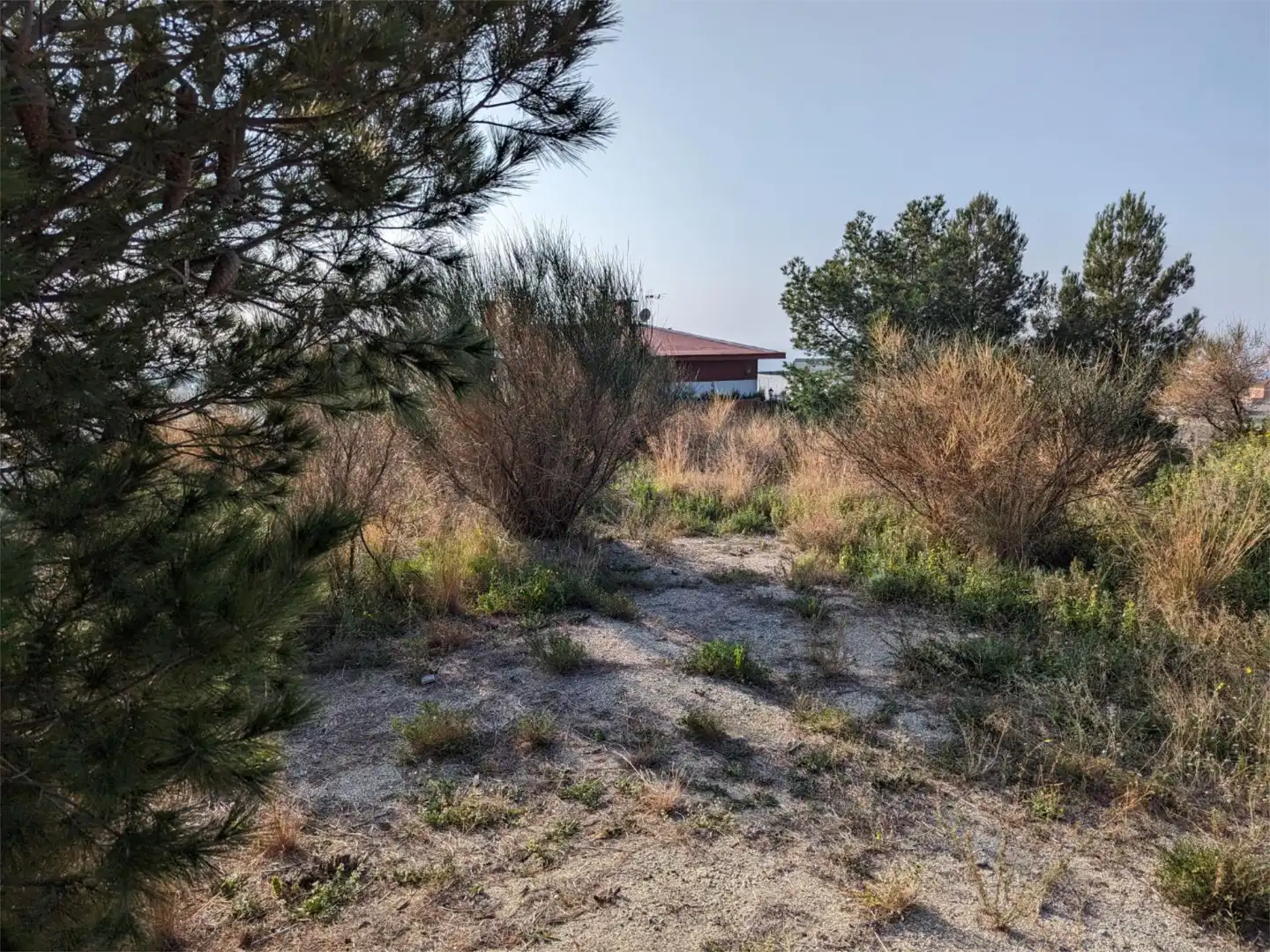 Grundstücke zum Verkauf in Avinguda President Kennedy, 89, Califòrnia - Santa Madrona Grundstücke zum Verkauf in El Masnou