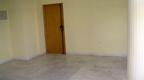 Oficina de lloguer a Avenida Alcalde Luis Uruñuela, 6, Parque Alcosa, Sevilla - imatge 4 Foto 4 de Oficina de lloguer a Avenida Alcalde Luis Uruñuela, 6, Parque Alcosa, Sevilla