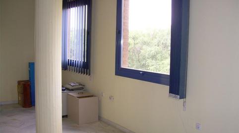 Oficina de lloguer a Avenida Alcalde Luis Uruñuela, 6, Parque Alcosa, Sevilla - imatge 5 Foto 5 de Oficina de lloguer a Avenida Alcalde Luis Uruñuela, 6, Parque Alcosa, Sevilla