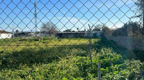 Foto 2 de Finca rústica en venda a Camino Colada de Fuente Amarga, 3, Las Lagunas - Campano, Chiclana de la Frontera