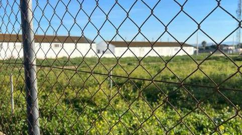 Foto 3 de Finca rústica en venda a Camino Colada de Fuente Amarga, 3, Las Lagunas - Campano, Chiclana de la Frontera