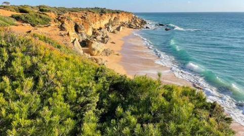 Foto 4 de Finca rústica en venda a Camino Colada de Fuente Amarga, 3, Las Lagunas - Campano, Chiclana de la Frontera