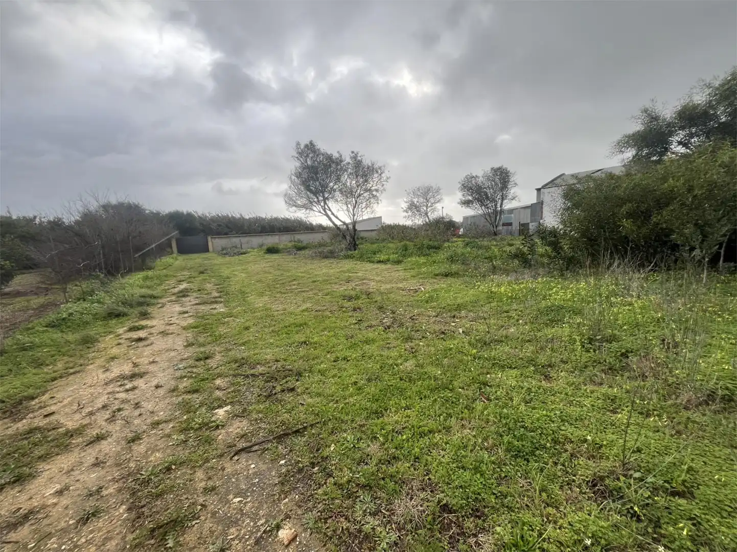 Country homes for sale in Chiclana de la Frontera