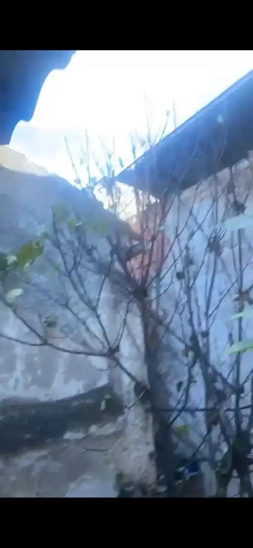 Vista exterior de Casa adosada en venta en Huéscar