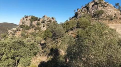 Photo 4 of Country house for sale in Calle Pitillas, 39, Algodonales, Cádiz