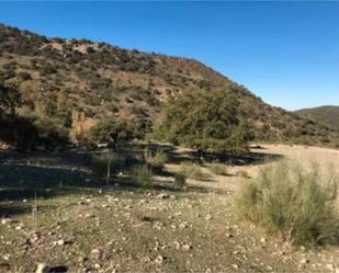 Finca rústica en venda en Algodonales