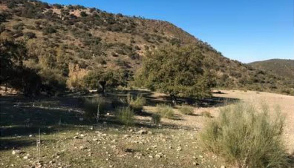 Photo 1 of Country house for sale in Calle Pitillas, 39, Algodonales, Cádiz