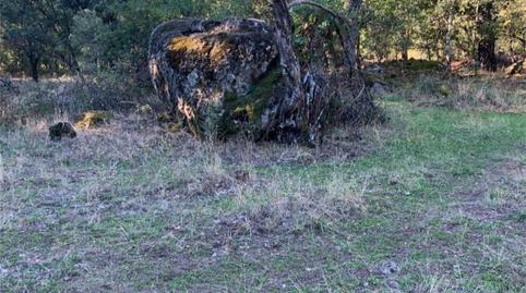 Finca rústica en venta en Urbanización Tiétar Park, 10, La Adrada , Ávila - imagen 3 Foto 3 de Finca rústica en venta en Urbanización Tiétar Park, 10, La Adrada , Ávila