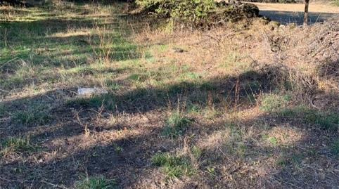 Finca rústica en venta en Urbanización Tiétar Park, 10, La Adrada , Ávila - imagen 4 Foto 4 de Finca rústica en venta en Urbanización Tiétar Park, 10, La Adrada , Ávila