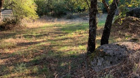 Finca rústica en venta en Urbanización Tiétar Park, 10, La Adrada , Ávila - imagen 5 Foto 5 de Finca rústica en venta en Urbanización Tiétar Park, 10, La Adrada , Ávila