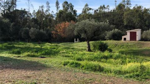 Foto 3 de Finca rústica en venda a Diseminado Caballon, 9, Niebla, Huelva