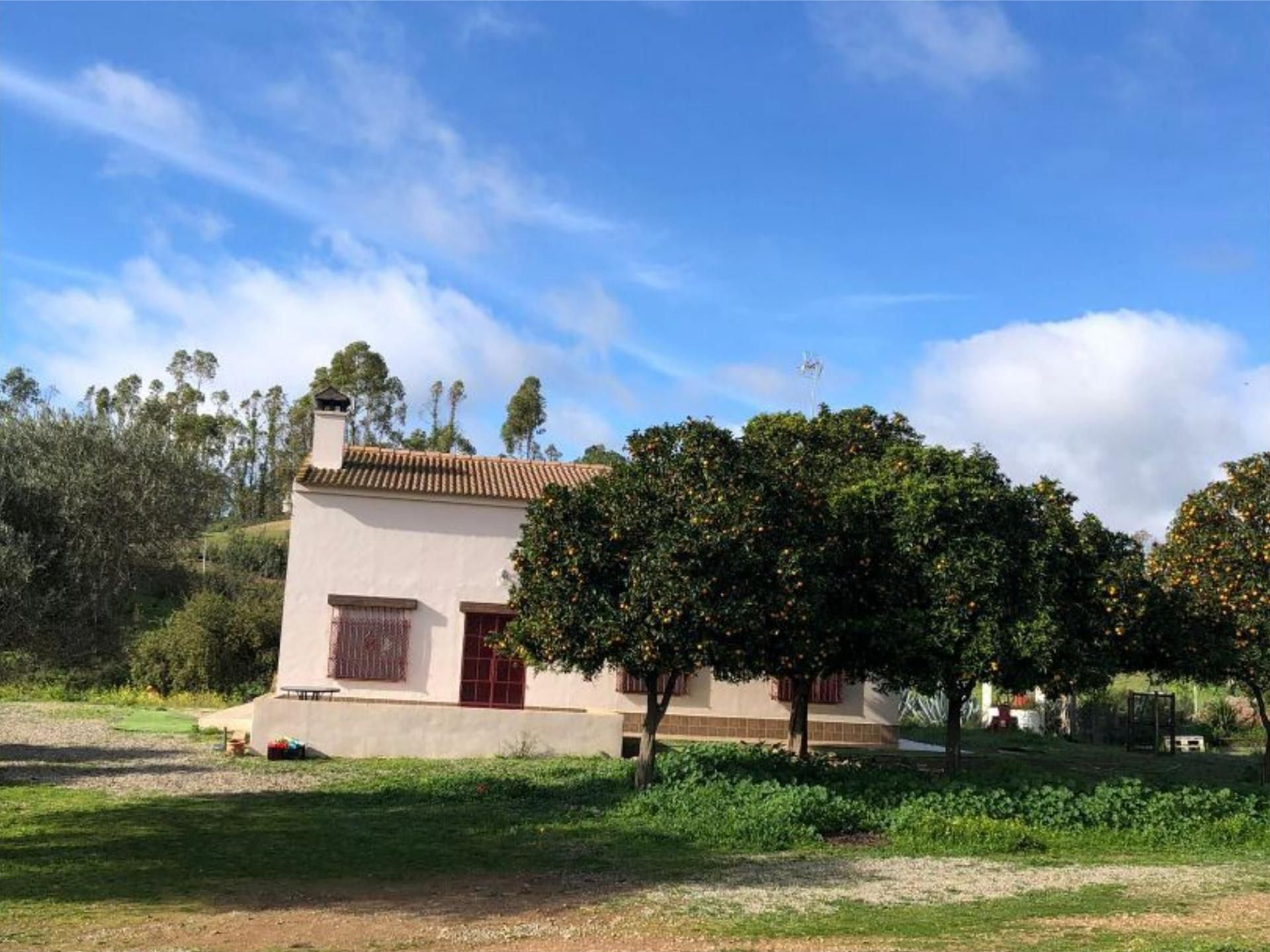 Exterior view of Country house for sale in Niebla  with Air Conditioner, Private garden and Parquet flooring