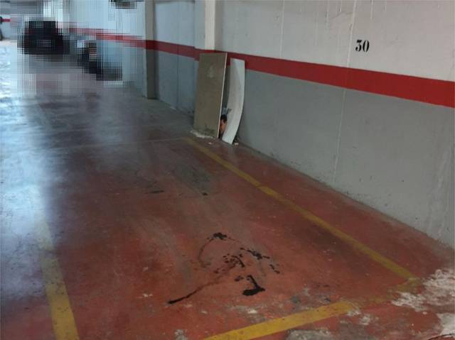 Garaje en Alquiler en Avenida Plutarco, 71 en El Cónsul - Ciudad Universitaria - El Romeral