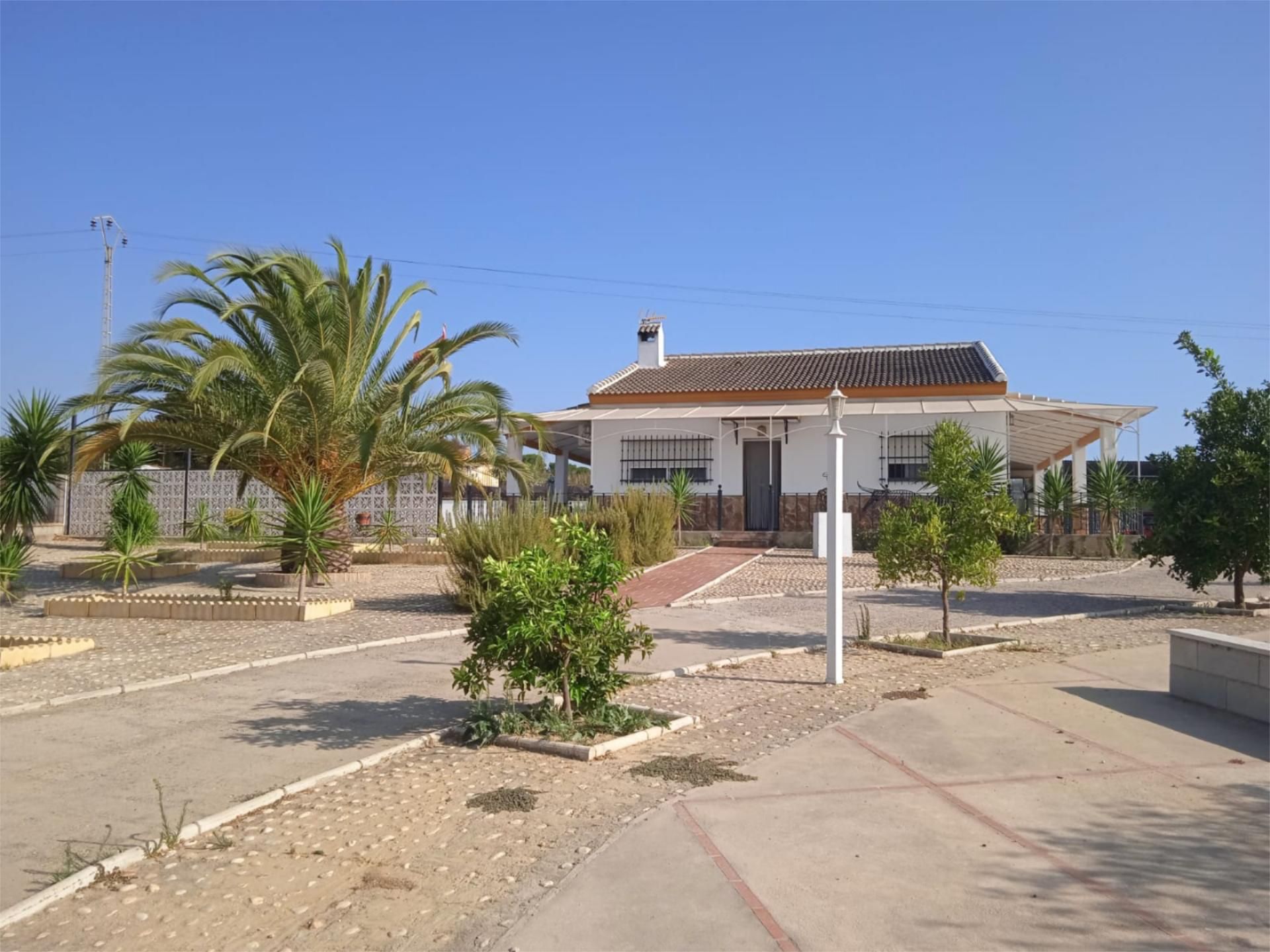 Vista exterior de Casa o xalet en venda en Moguer amb Aire condicionat i Piscina