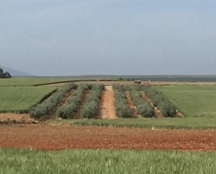 Grundstücke zum verkauf in Villanueva de la Serena